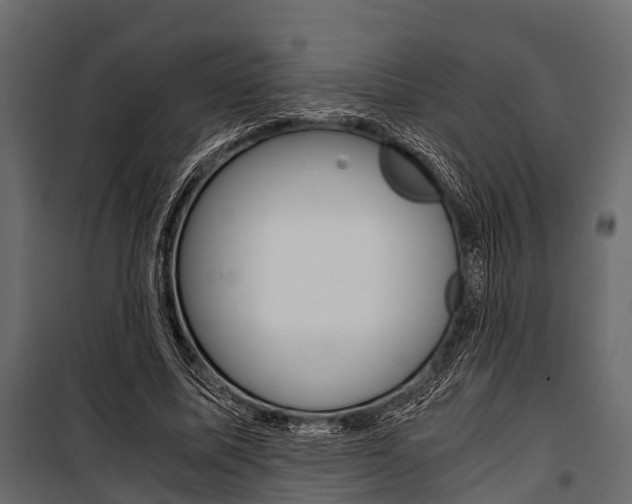 X0000100930587200806241140