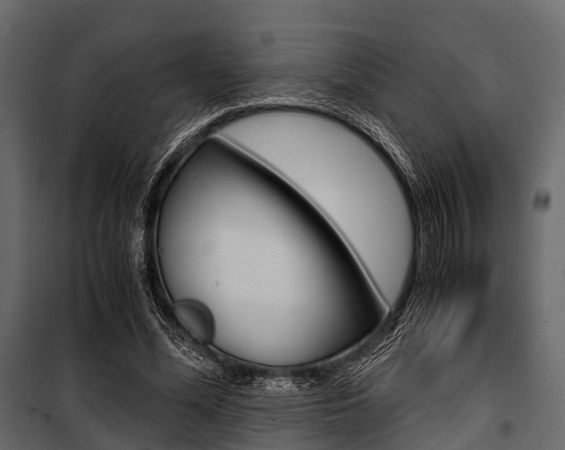 X0000100930588200806241140