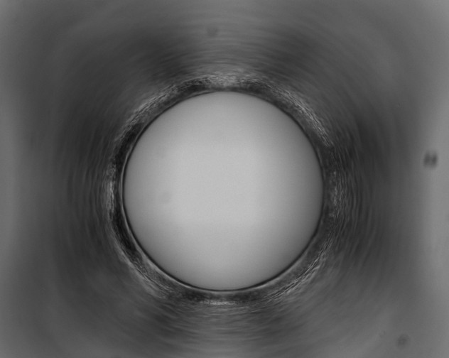 X0000100930590200806241140