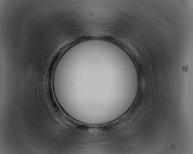 X0000100930591200806241140