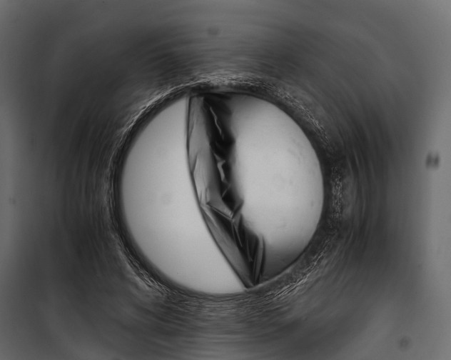 X0000100930592200806241140