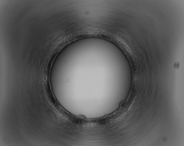 X0000100930593200806241140