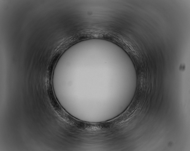 X0000100930594200806241140