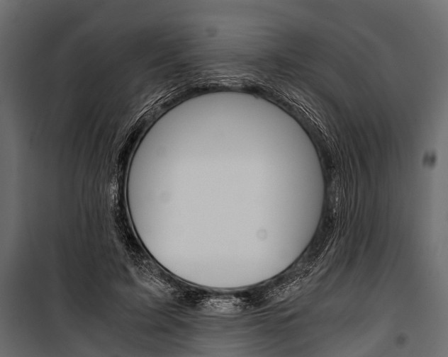 X0000100930595200806241140