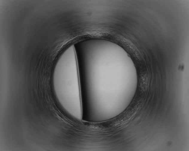 X0000100930596200806241140