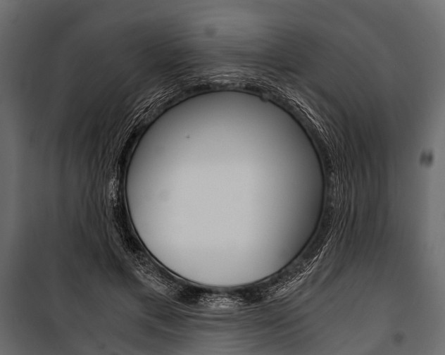 X0000100930597200806241140