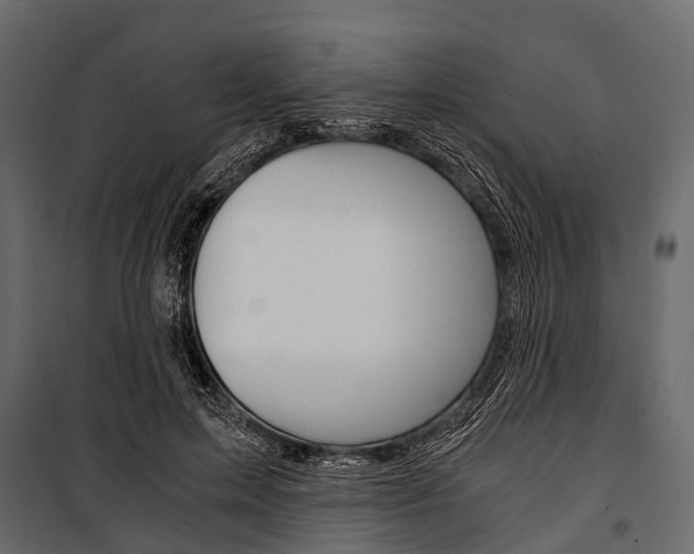 X0000100930599200806241140