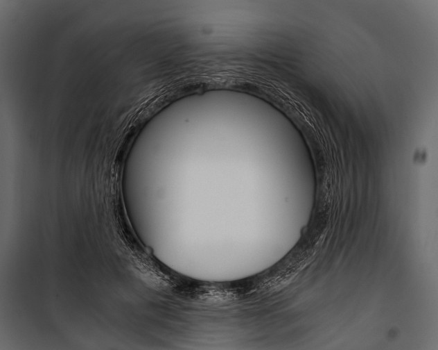 X0000100930601200806241140