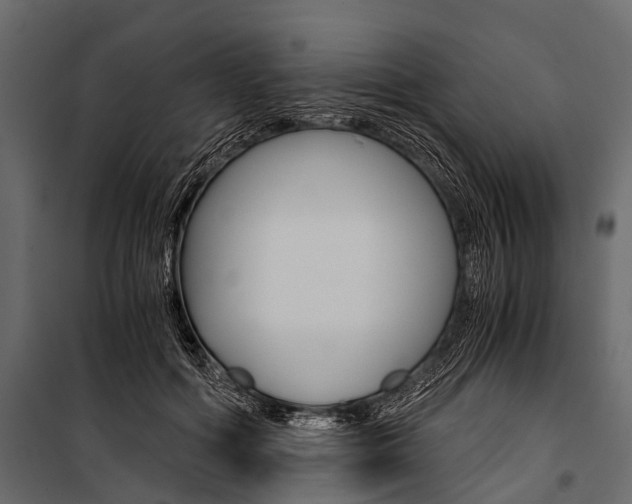 X0000100930602200806241140