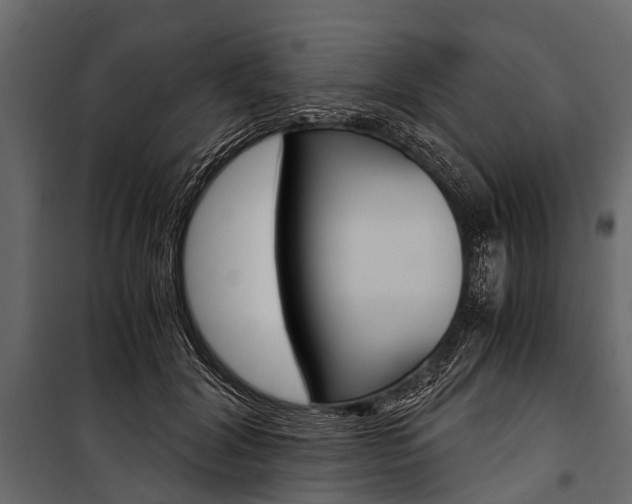 X0000100930604200806241140