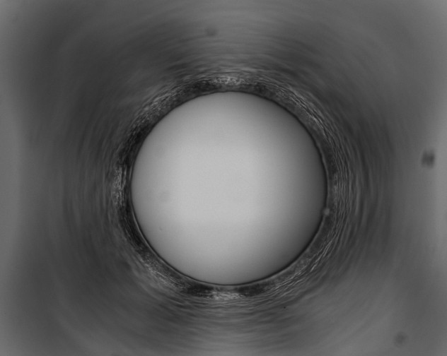 X0000100930605200806241140