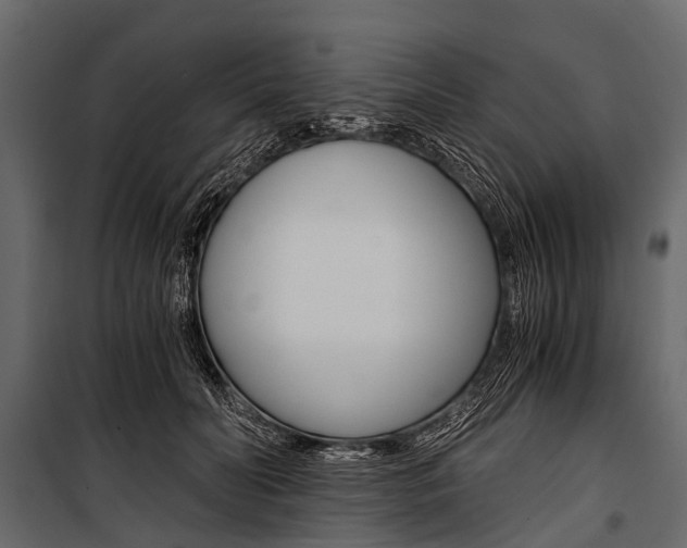 X0000100930606200806241140