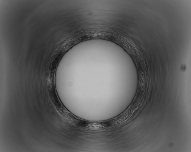 X0000100930607200806241140