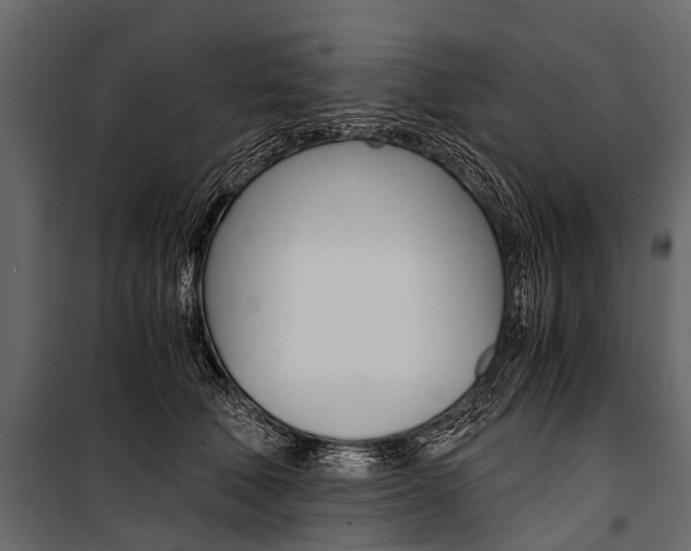 X0000100930610200806241140