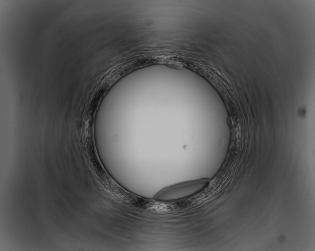 X0000100930611200806241140