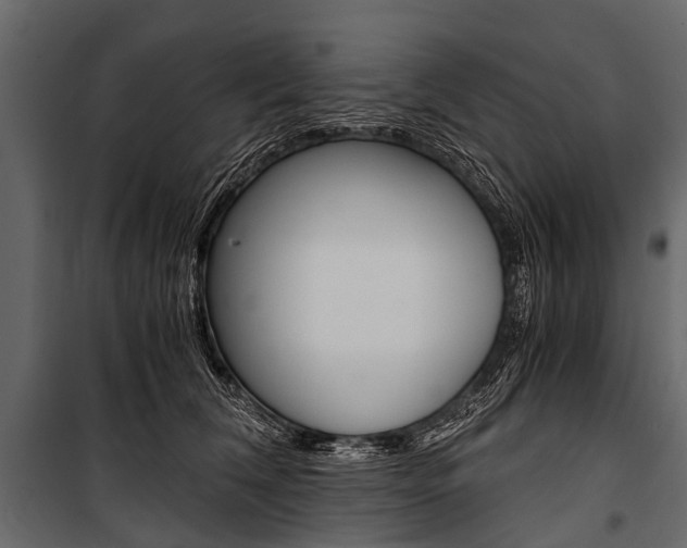 X0000100930612200806241140