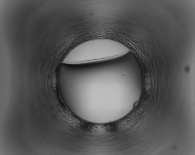 X0000100930613200806241140