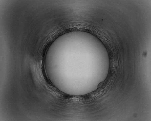 X0000100930615200806241139