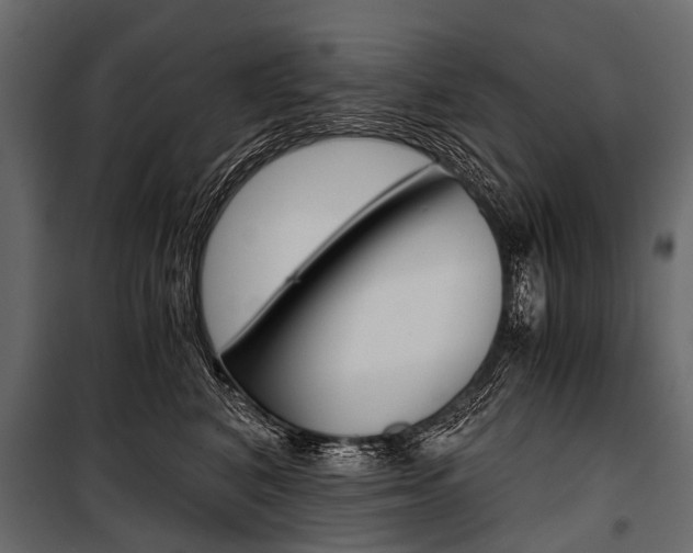 X0000100930616200806241139