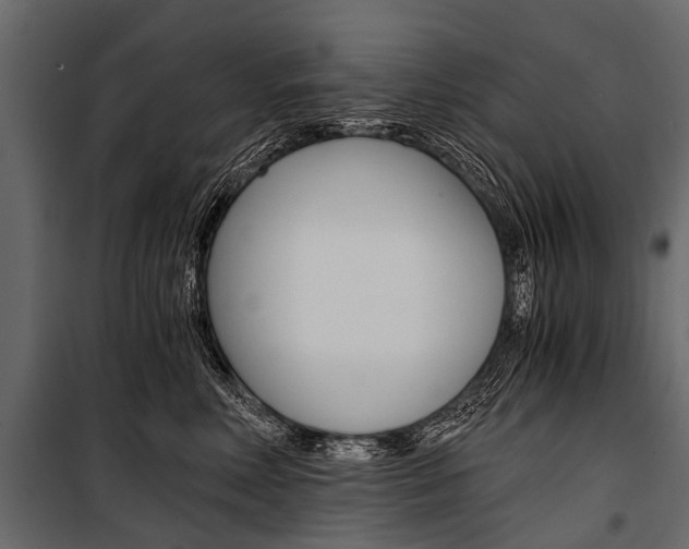 X0000100930618200806241139