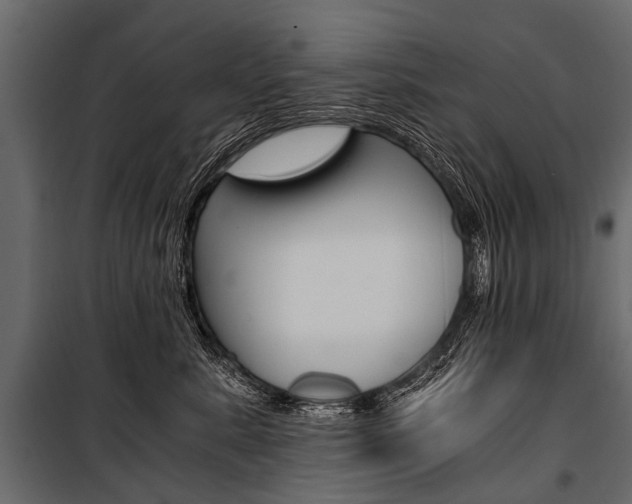 X0000100930619200806241139