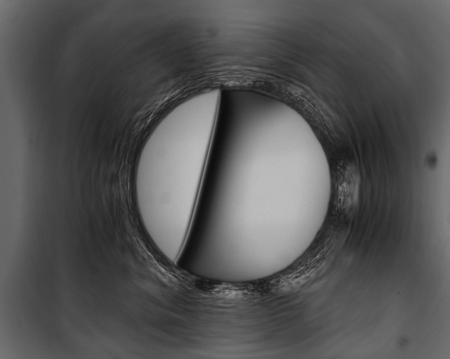 X0000100930620200806241139