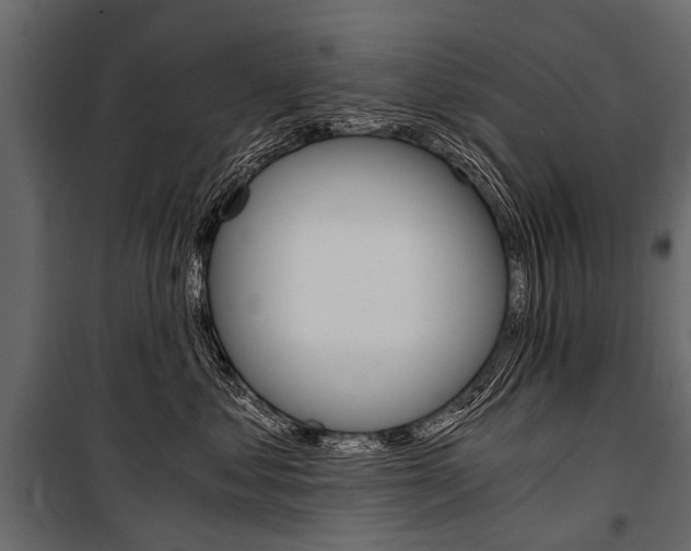 X0000100930621200806241139