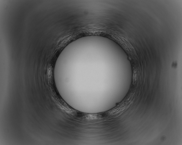 X0000100930623200806241139