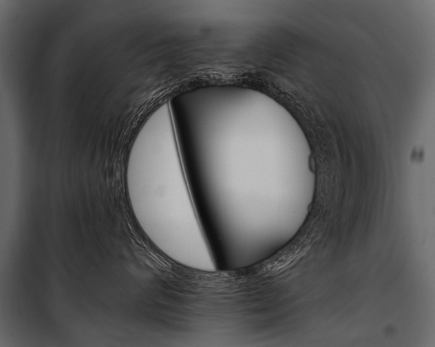 X0000100930624200806241139