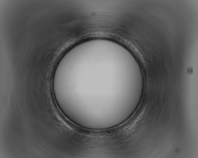 X0000100930625200806241139