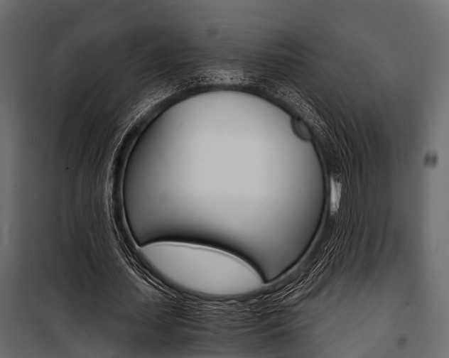 X0000100930627200806241139