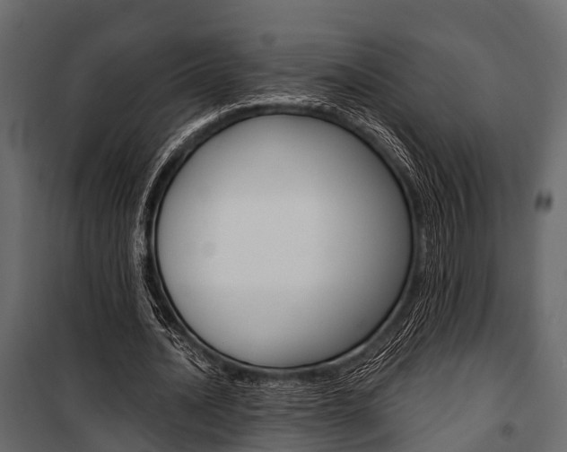 X0000100930628200806241139