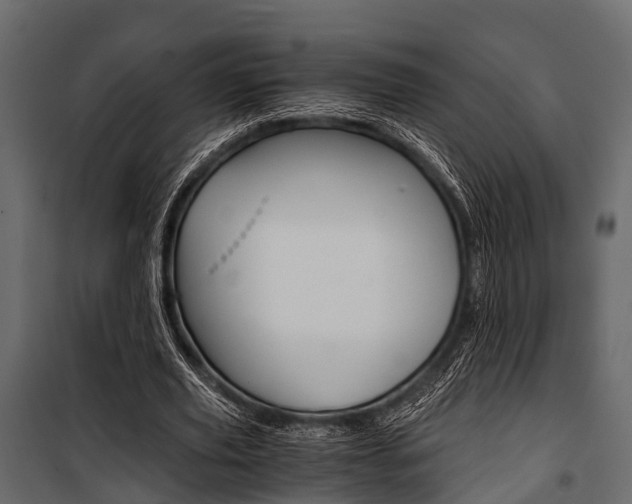 X0000100930629200806241139