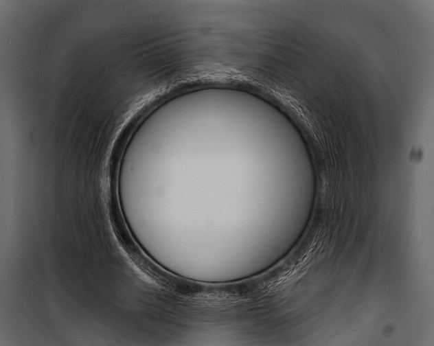 X0000100930630200806241139