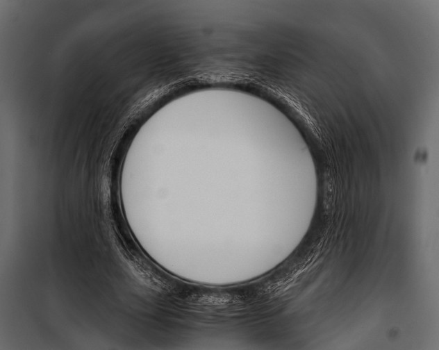 X0000100930631200806241139