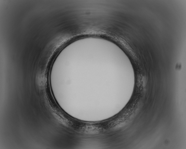 X0000100930632200806241139