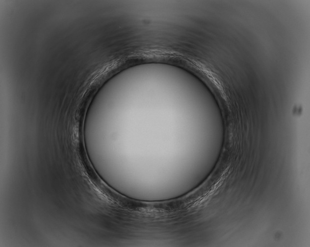 X0000100930633200806241139