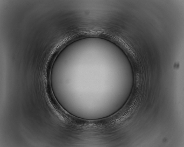 X0000100930634200806241139