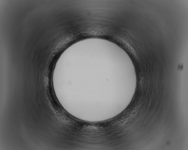 X0000100930635200806241139