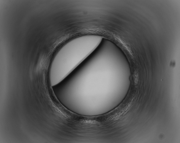 X0000100930637200806241139