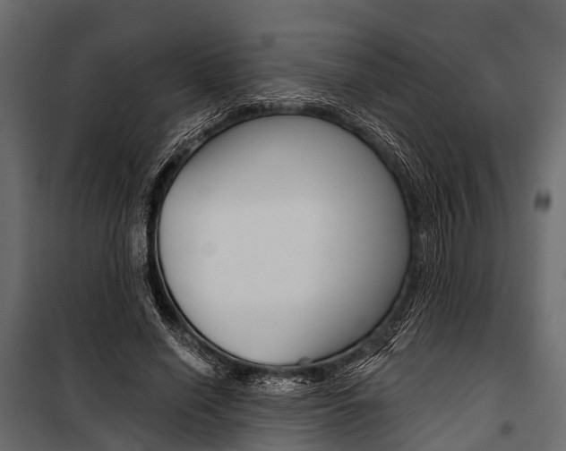 X0000100930638200806241139