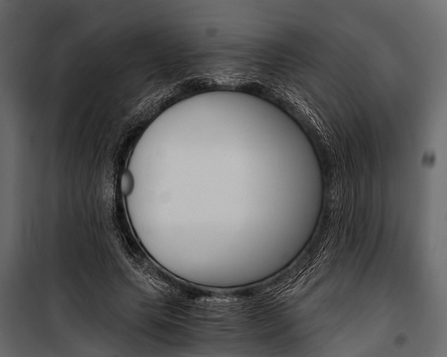 X0000100930639200806241139