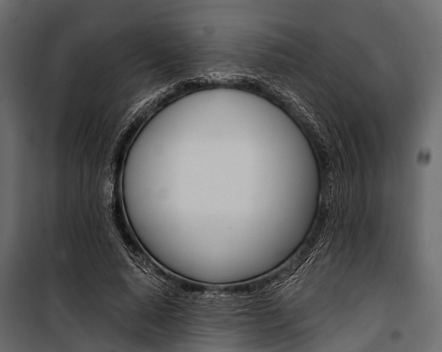 X0000100930640200806241139