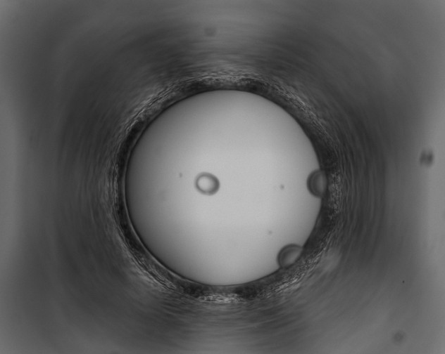 X0000100930642200806241139