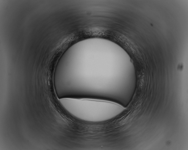 X0000100930643200806241139