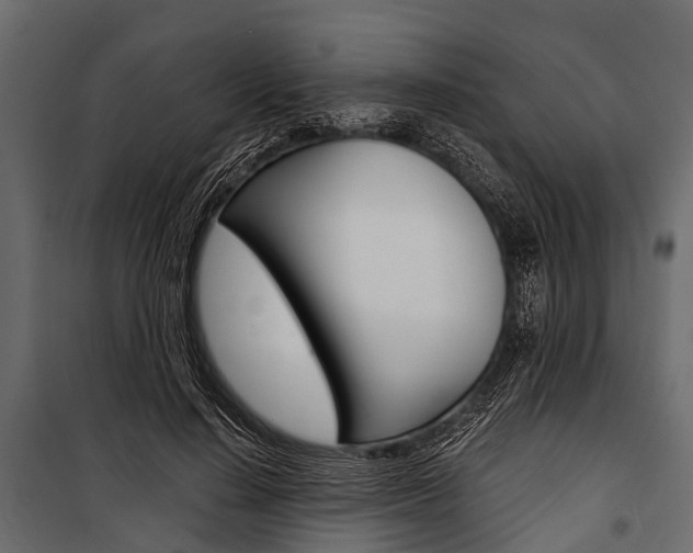 X0000100930644200806241139