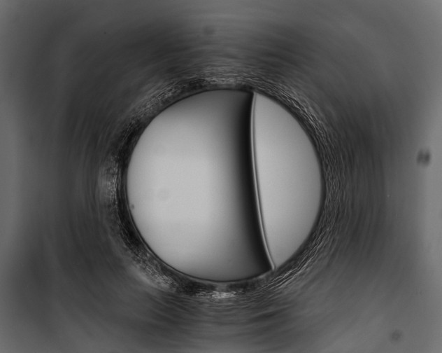 X0000100930647200806241139