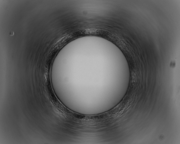 X0000100930648200806241139