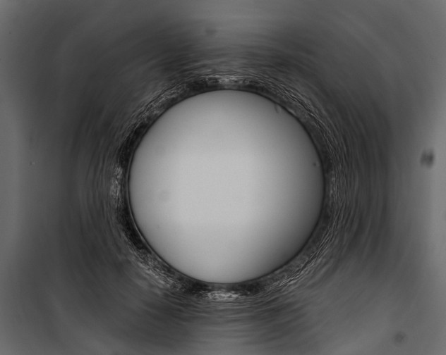 X0000100930650200806241139