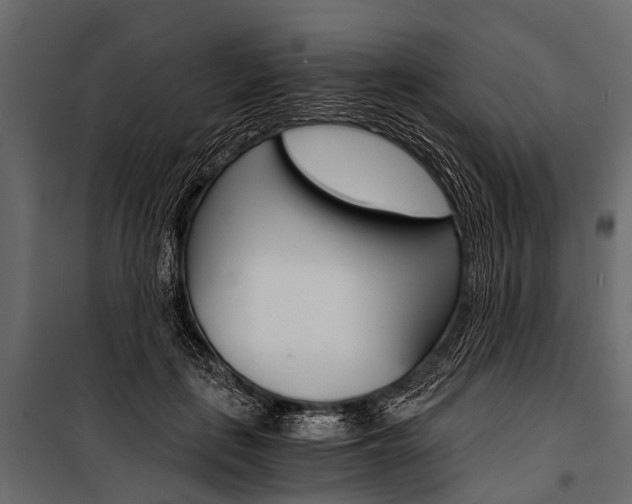 X0000100930651200806241139